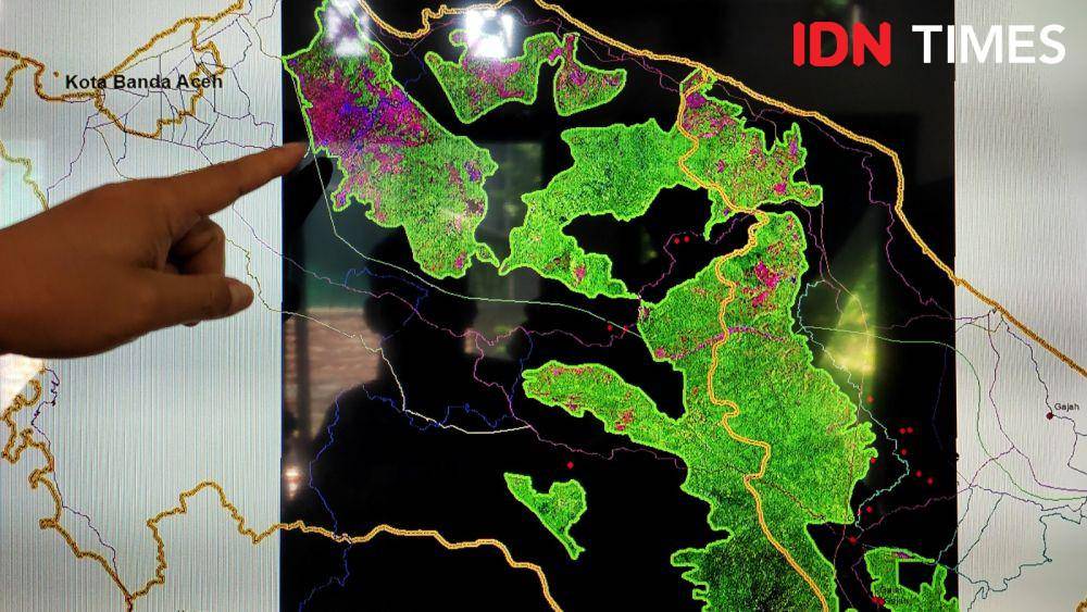 Peta kawasan konsesi hutan tanaman industri (HTI) yang ada di Kabupaten Aceh Besar dan Kabupaten Pidie. (IDN Times/Muhammad Saifullah)