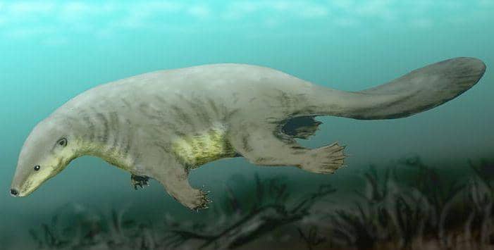 ilustrasi castorocauda (commons.wikimedia.org/Nobu Tamura)