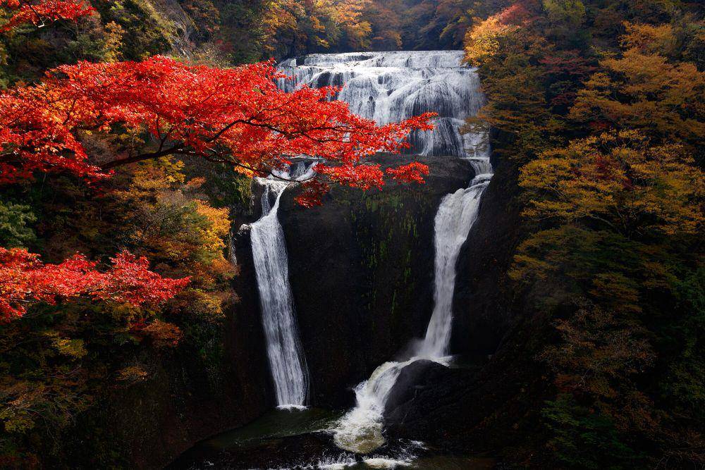 potret Air Terjun Fukuroda (commons.m.wikimedia.org/t.kunikuni)
