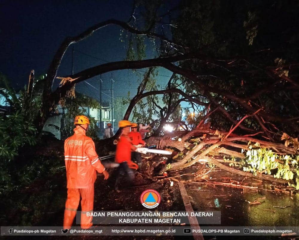 BPBD Magetan tengah menangani dampak bencana cuaca ekstrim, angin kencang disertai hujan lebat. IDN Times/ BPBD Magetan.