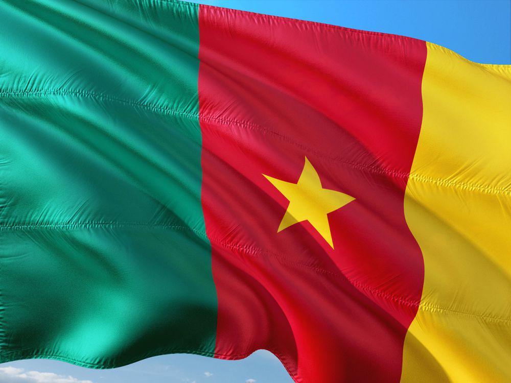 Ilustrasi bendera Kamerun (Pixabay.com/jorono)