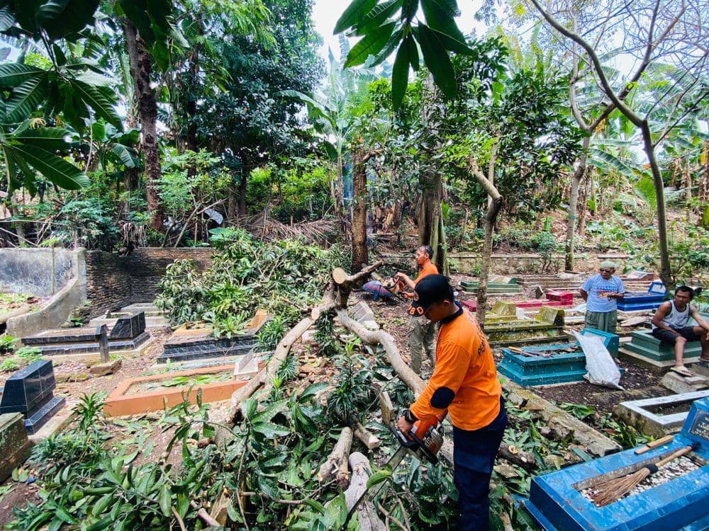 Evakuasi pohon tumbang di salah satu TPU di Bandar Lampung. (IDN Times/BPBD Bandar Lampung).