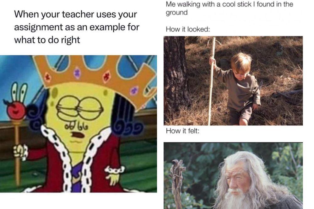 7 Meme Momen Merasa Keren, Langsung Halu Jadi MC