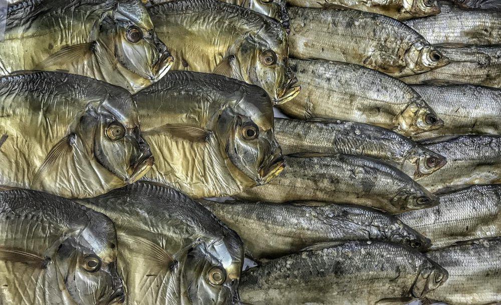 4 Cara Menyimpan Ikan Asin agar Awet dan Gak Jamuran