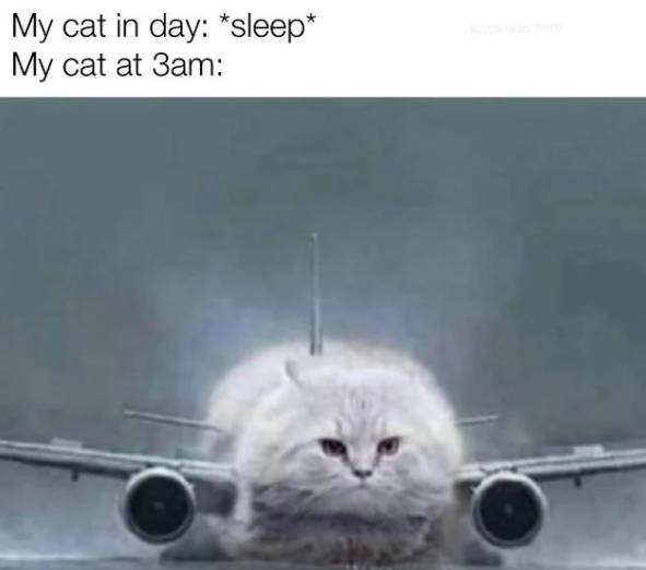 meme hal yang dirasain tengah malam (reddit.com/deleted)