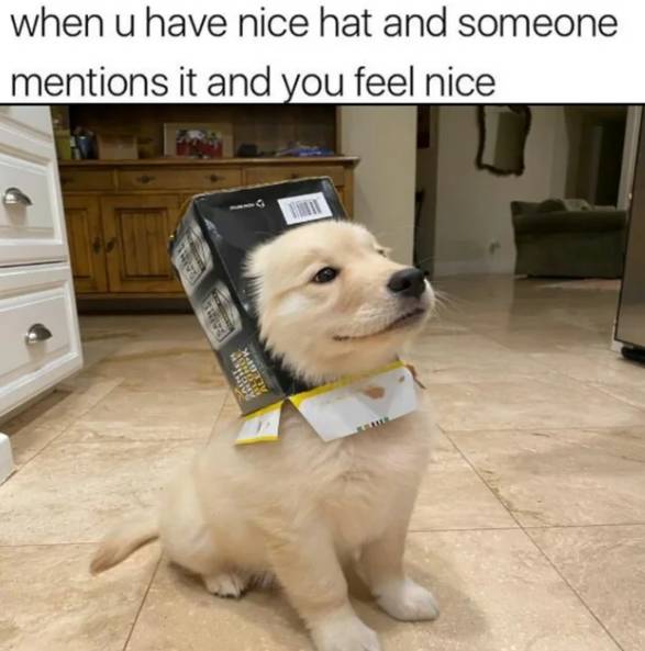 meme momen merasa keren (reddit.com/AwkwardLook)