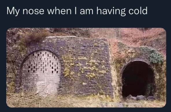 meme cuaca kerasa lebih dingin (reddit.com/coolidiot2000)