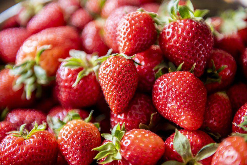 ilustrasi buah strawberry (pixabay.com/filipfilipovic)