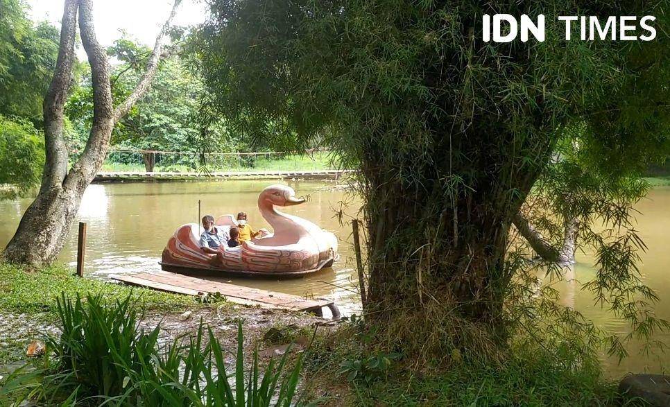 Kondisi TWA Punti Kayu Palembang (IDN Times/Feny Maulia Agustin)