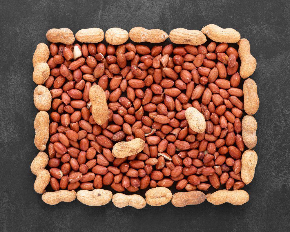 ilustrasi kacang tanah (freepik.com/freepik)