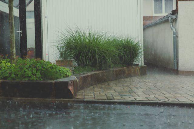 ilustrasi drainase di sekitar rumah (pexels.com/Markus Spiske)