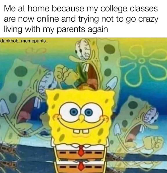 meme SpongeBob tentang keresahan mahasiswa (reddit.com/joesoldlegs)