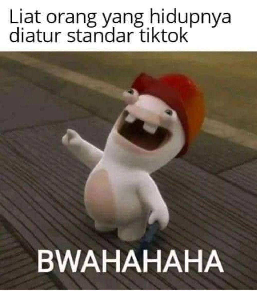 meme standar TikTok (instagram.com/memecomic.id)