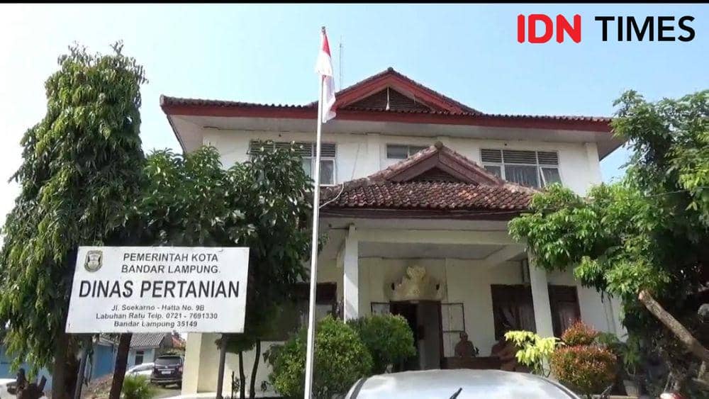 Pemkot Bandar Lampung Bakal Berikan Pupuk Subsidi ke 755 Petani