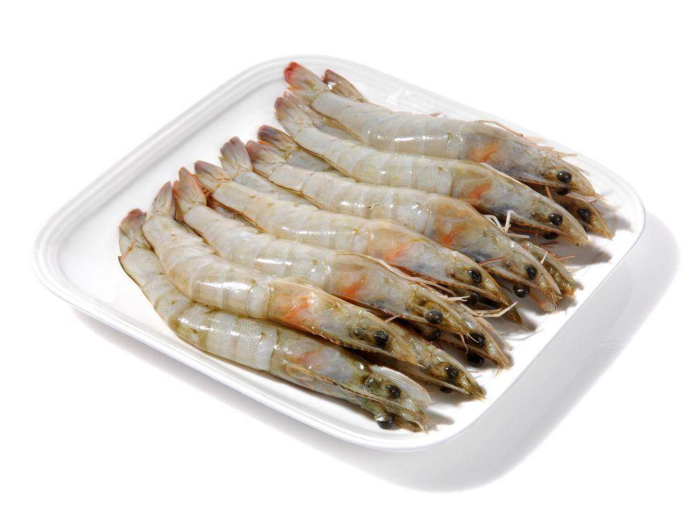 ilustrasi udang segar (pixabay.com/kimlome)