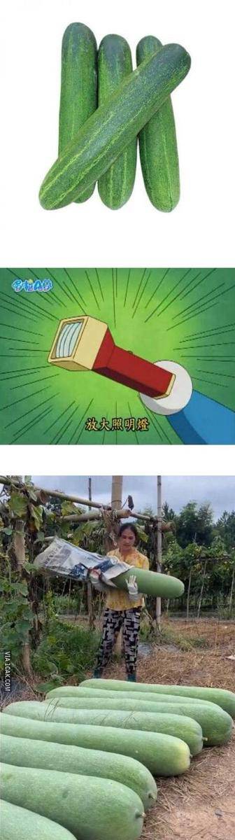 potret meme lucu Doraemon (1cak.com/of-didikwaluyo)