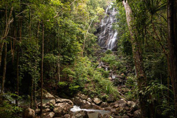 Ilustrasi air terjun. https://www.istockphoto.com/cipella