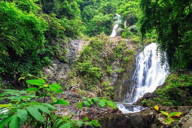 Ilustrasi air terjun. https://www.istockphoto.com/GNNick