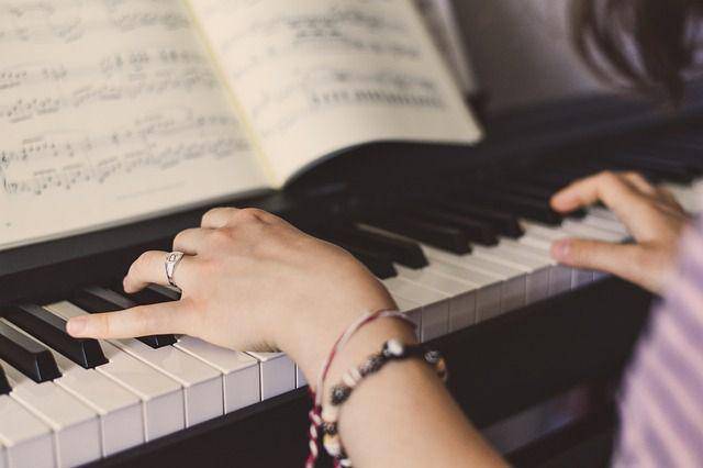 ilustrasi musisi (pixabay.com/wal_172619)