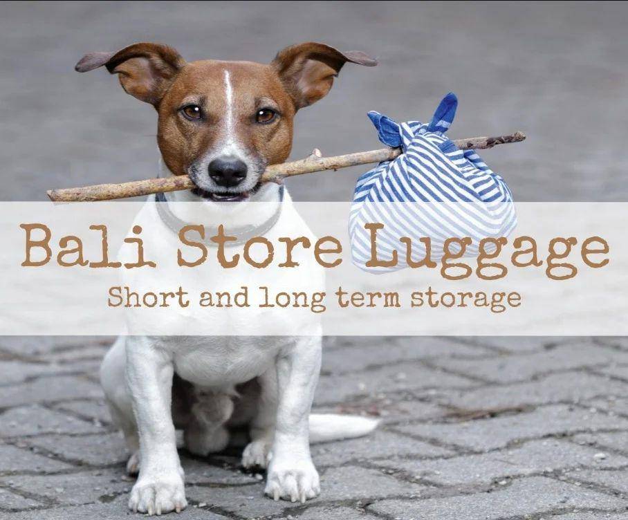 Bali Store Luggage (instagram.com/bali.store.luggage)