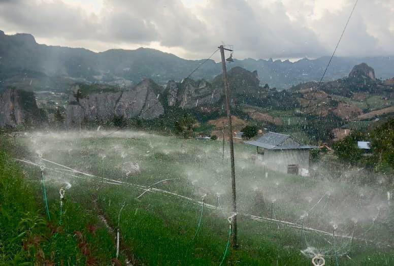 Listrik Hijau PLN Bantu Petani di Sulsel Tekan Biaya Operasional