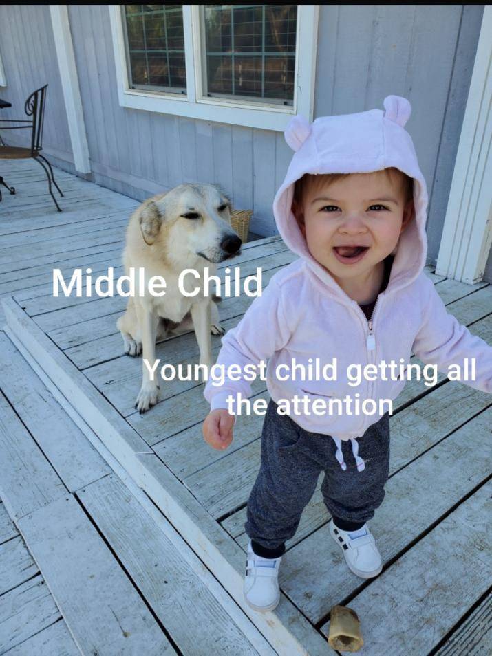 potret meme tentang anak tengah (reddit.com/user/TheATAQKing)