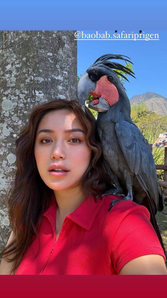 Potret keluarga Jessica Iskandar ke taman safari (instagram.com/inijedar)