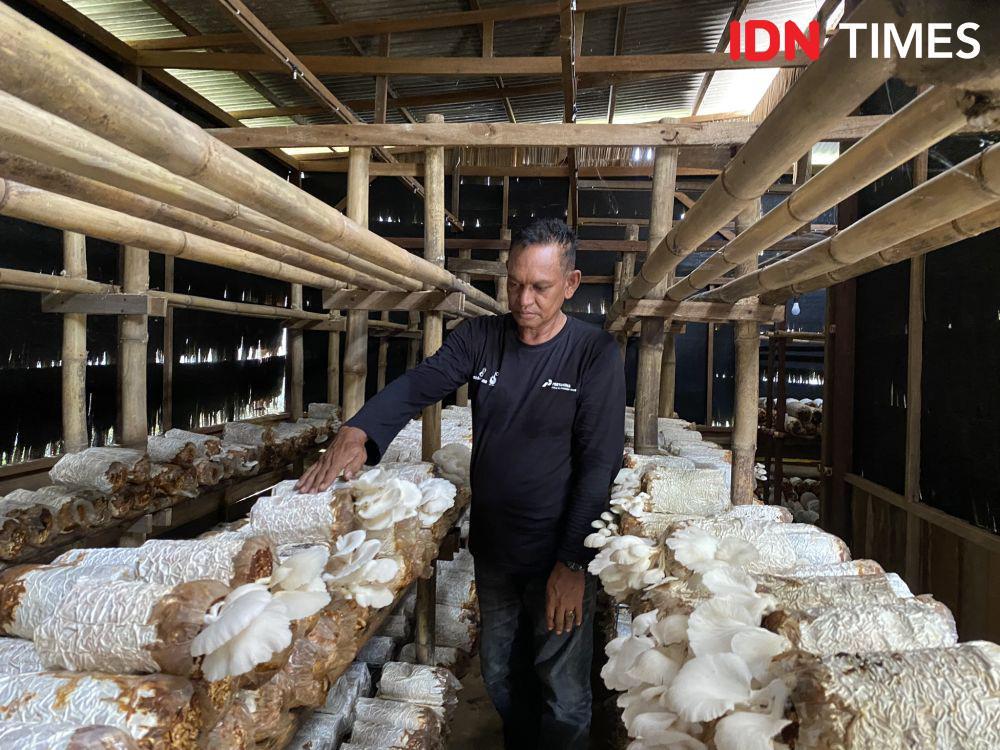 Inovasi Budidaya Jamur, Solusi Limbah Kayu di Panajam Paser Utara