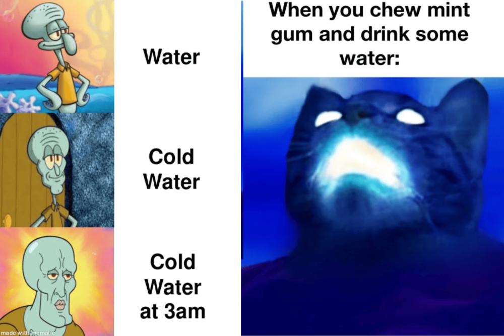 8 Meme Nikmatnya Minum Air Dingin, Bikin Segar sampai Ngilu