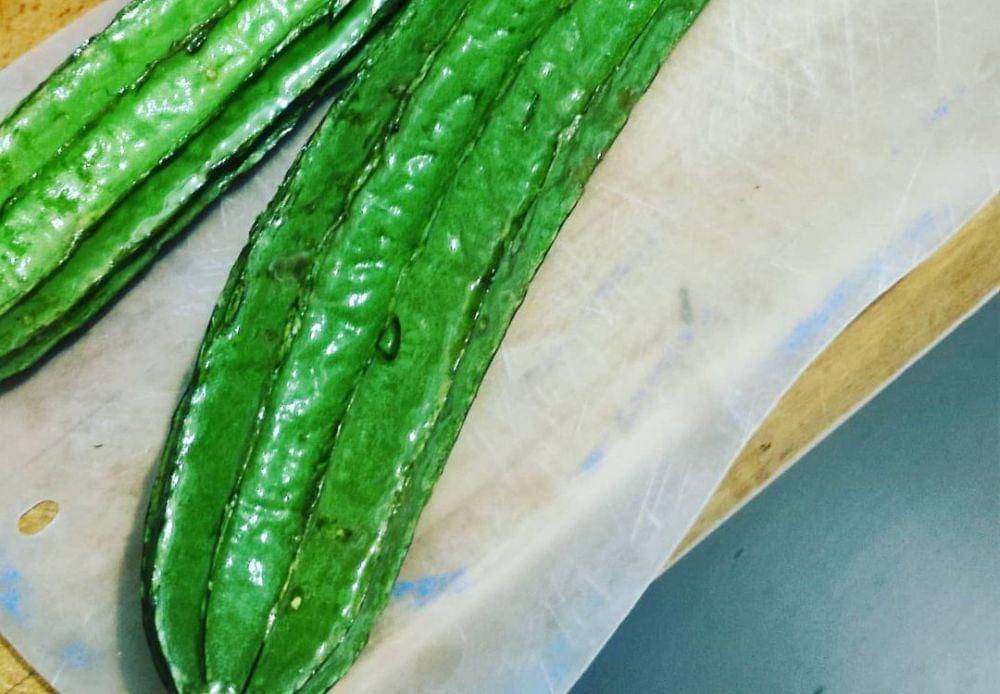 Ilustrasi sayur oyong. (Instagram.com/jessicagrosswiler)