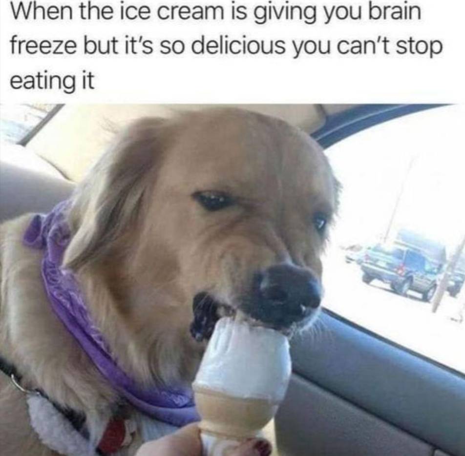 meme makan es krim (reddit.com/Aztery)