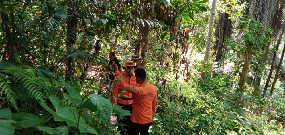 Tim SAR Cari Lansia Hilang di Hutan Bambu Toraja Utara