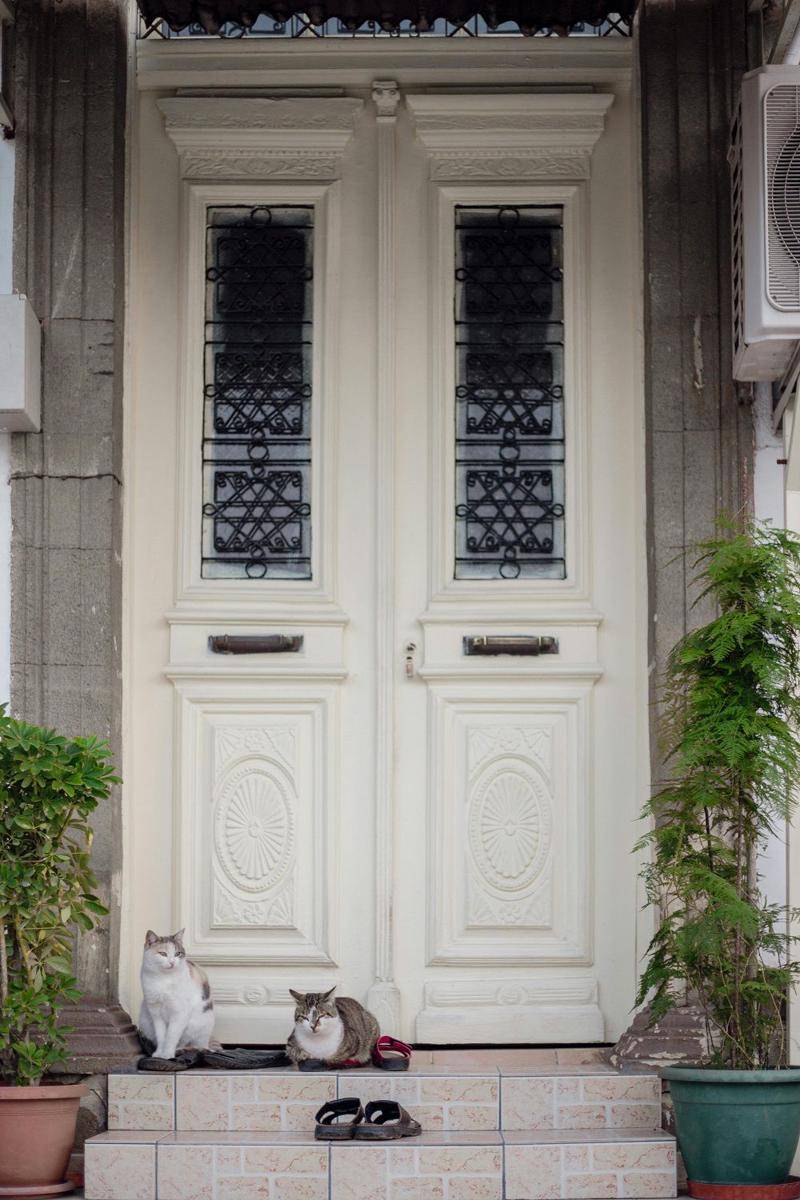 inspirasi pintu gaya Victoria (pexels.com/@tolgaaslanturk)