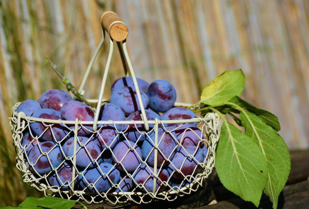 9 Inspirasi Wadah Buah Estetik, Meja Makan Jadi Lebih Sehat nan Indah!