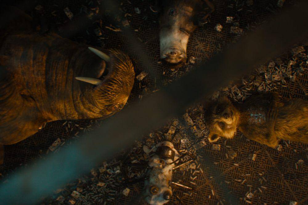 adegan dalam film Guardians of the Galaxy Vol. 3. (dok. Marvel Studios/Guardians of the Galaxy Vol. 3)