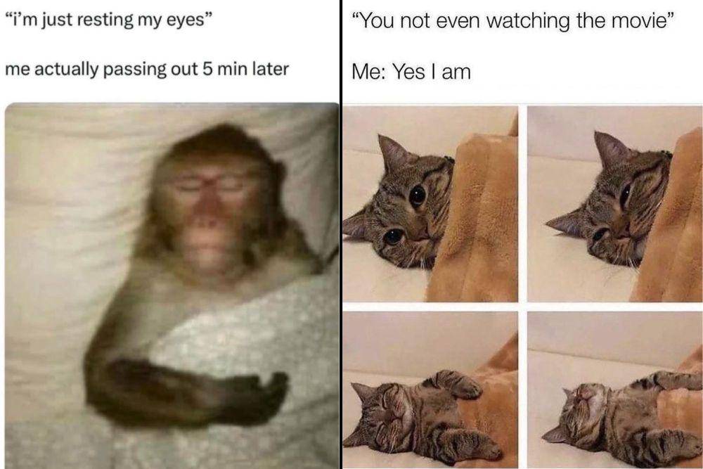 kolase meme hidup isinya ketiduran mulu (instagram.com/sarcasmhoes I reddit.com/deleted)
