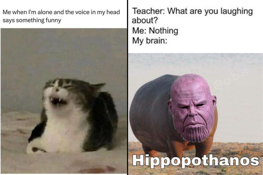 8 Meme Ketawa Sendiri, padahal Gak Ada yang Ngelucu