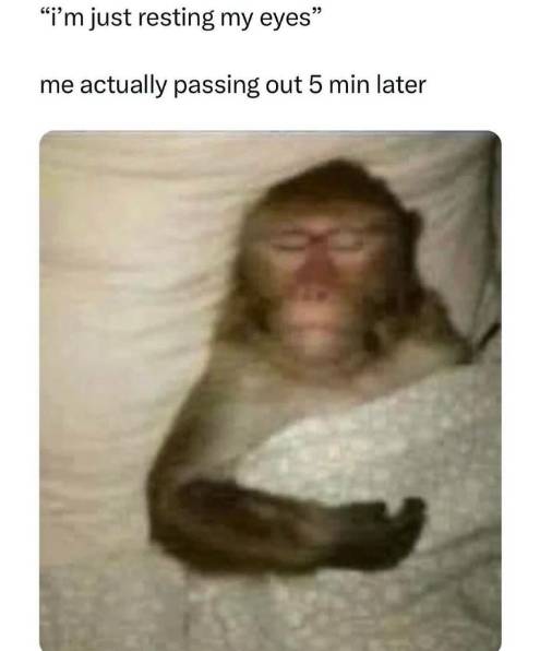 meme hidup isinya ketiduran mulu (instagram.com/sarcasmhoes)