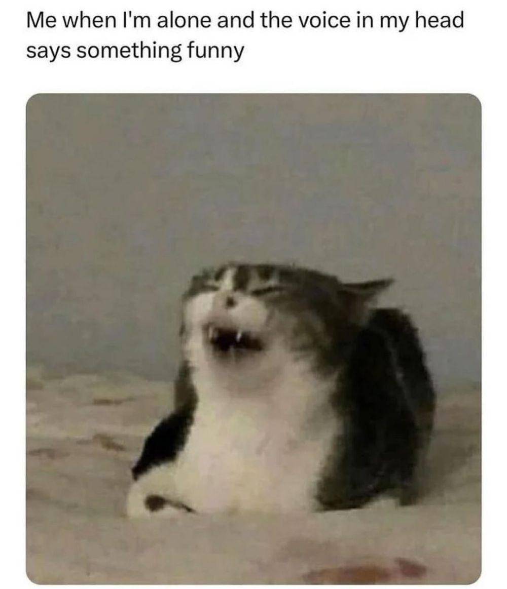 meme ketawa sendiri (instagram.com/24hrhumor)