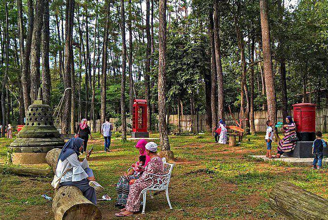 ilustrasi Taman Wisata Alam Punti Kayu, Palembang (commons.wikimedia.org/baka_neko_baka)