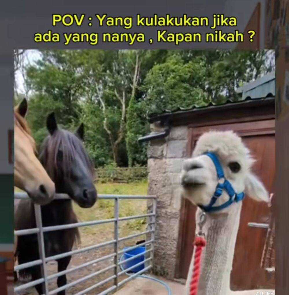meme kapan nikah (instagram.com/ahsanakreatif)