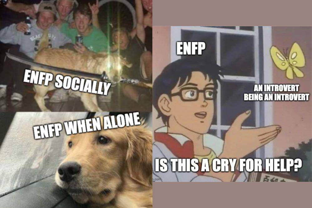 kolase meme orang berkepribadian ENFP (reddit.com/GerbearN I reddit.com/sleepingatlast97)