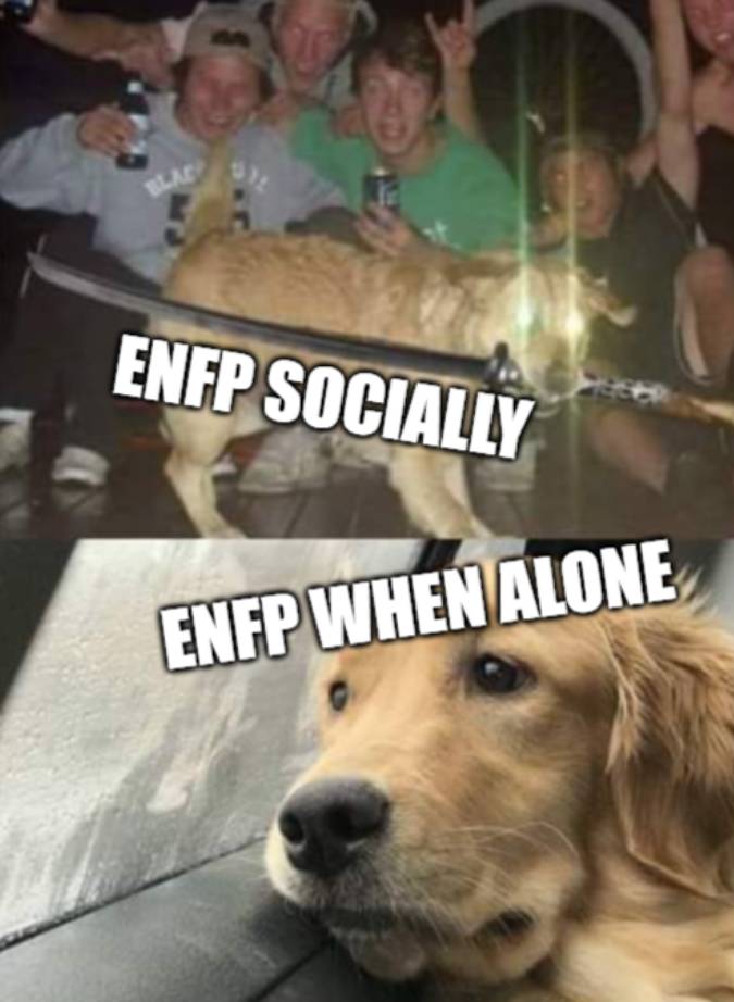 meme orang berkepribadian ENFP (reddit.com/GerbearN)