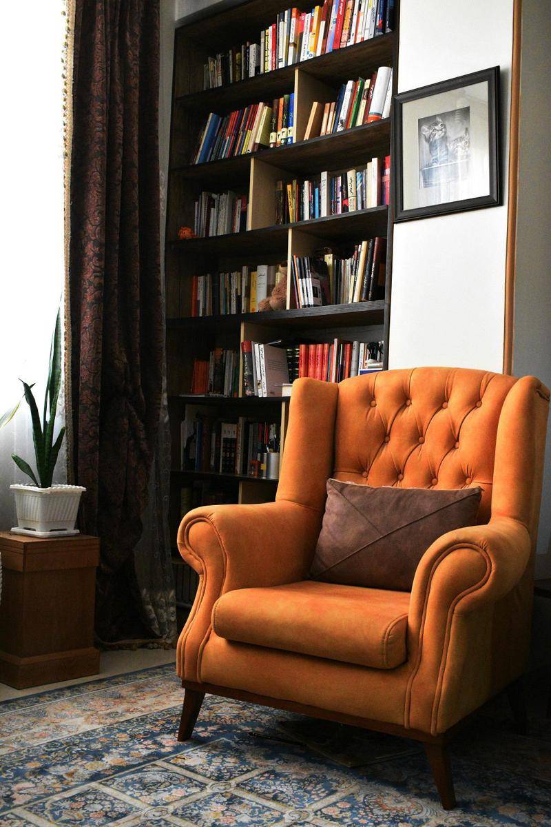 inspirasi built-in bookcase (pexels.com/@mohsen-raei-198268443)