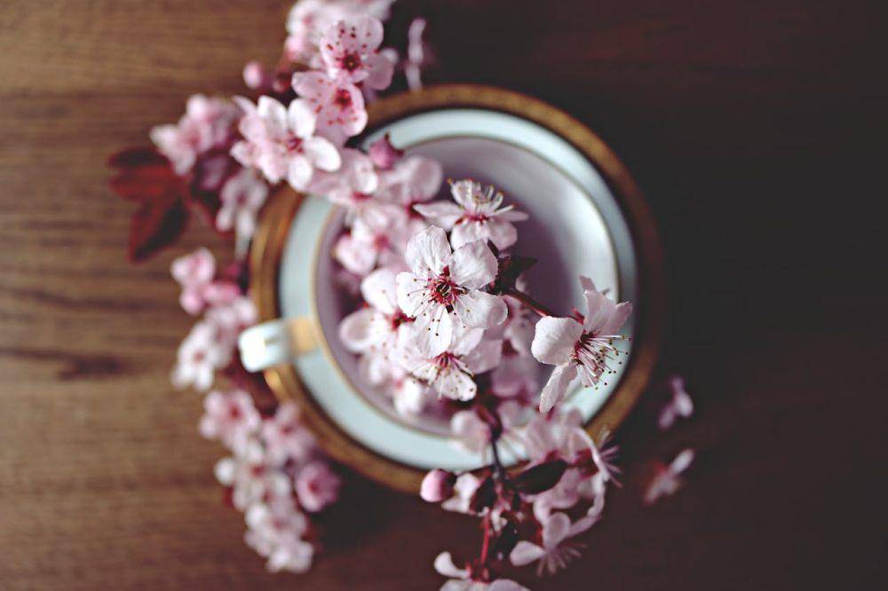 ilustrasi bunga sakura artifisial di dalam pot (pexels.com/Pixabay)