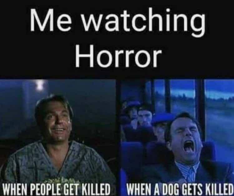 meme adegan di film horor (reddit.com/piercelapatanuy1)