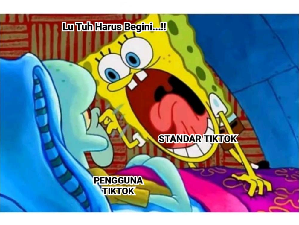 meme standar TikTok (dok. pribadi/Iip Afifullah)