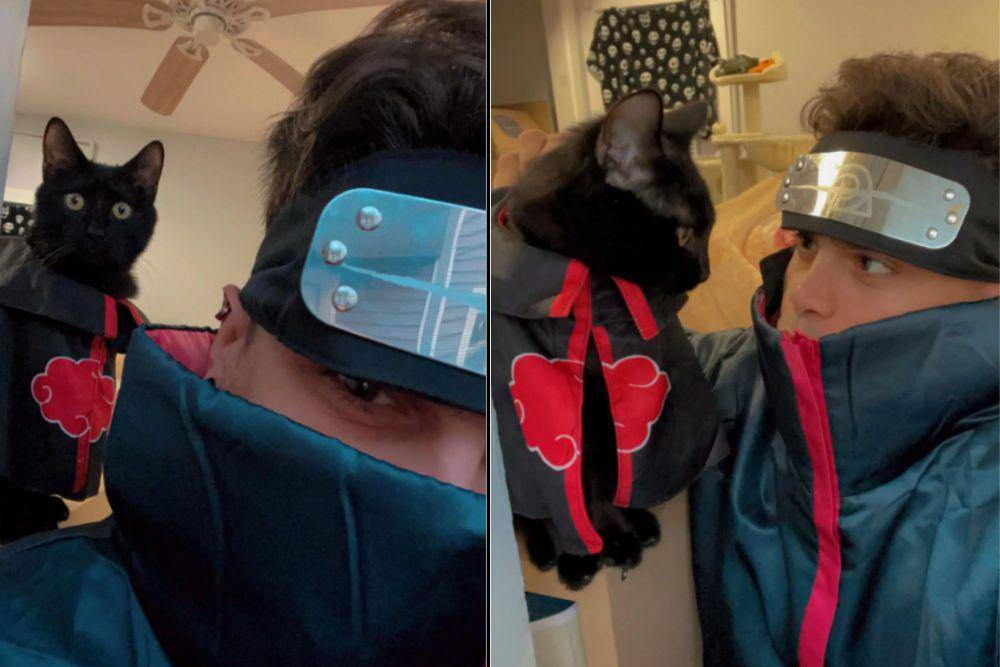 foto lucu kucing cosplay karakter di anime Naruto (reddit.com/NeverDeadlyy)