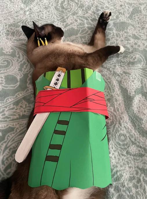 foto lucu kucing cosplay karakter One Piece (reddit.com/FireCat115)