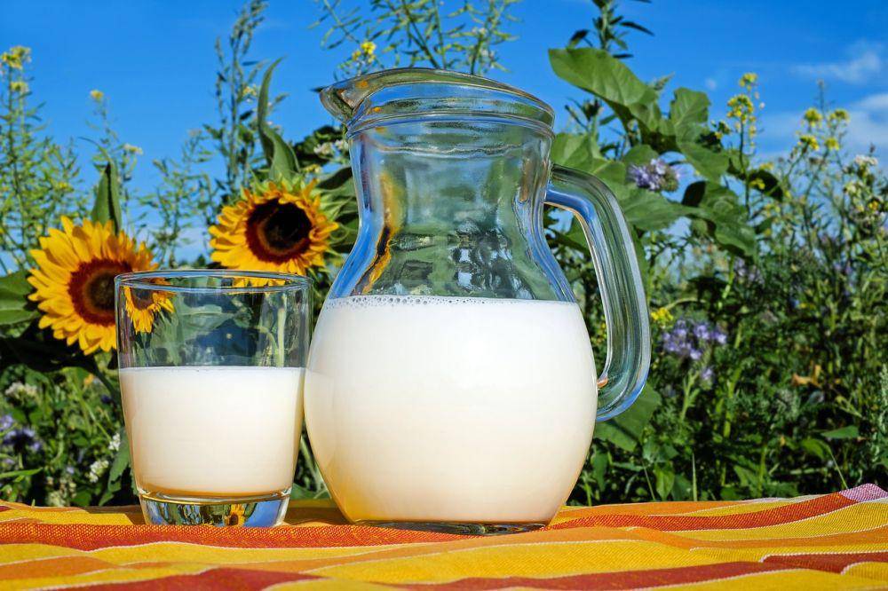 ilustrasi susu (pixabay.com/Couleur)